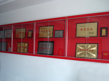 榮譽(yù)資質(zhì)